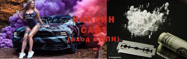 стафф Богданович